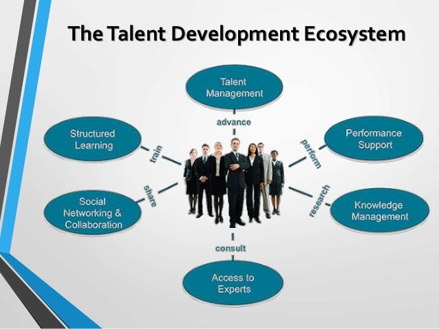 Exploring The Expanded Talent Development Ecosystem