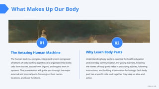 Exploring the Human Body: Comprehensive Guide to Body Parts and ...