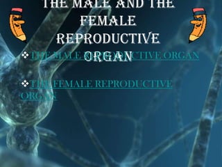 the male and the
         female
     reproductive
          organ
THE MALE REPRODUCTIVE ORGAN

THE FEMALE REPRODUCTIVE
ORGAN
 