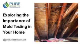 www.pureservicepro.com
Exploring the
Importance of
Mold Testing in
Your Home
 
