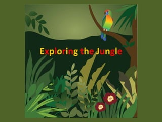 Exploring the Jungle