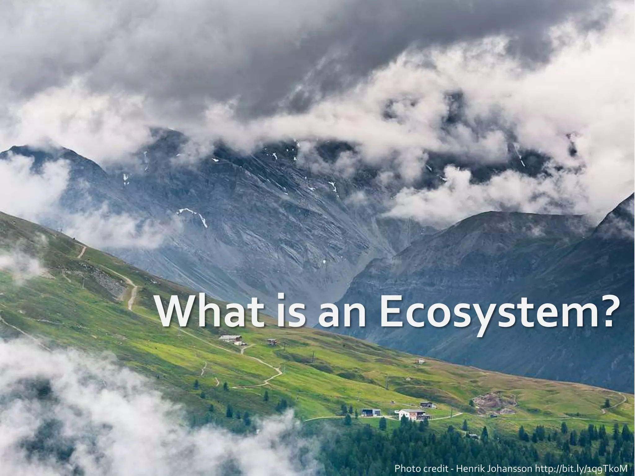 What is an Ecosystem?
Photo credit - Henrik Johansson http://bit.ly/1q9Tk0M
 