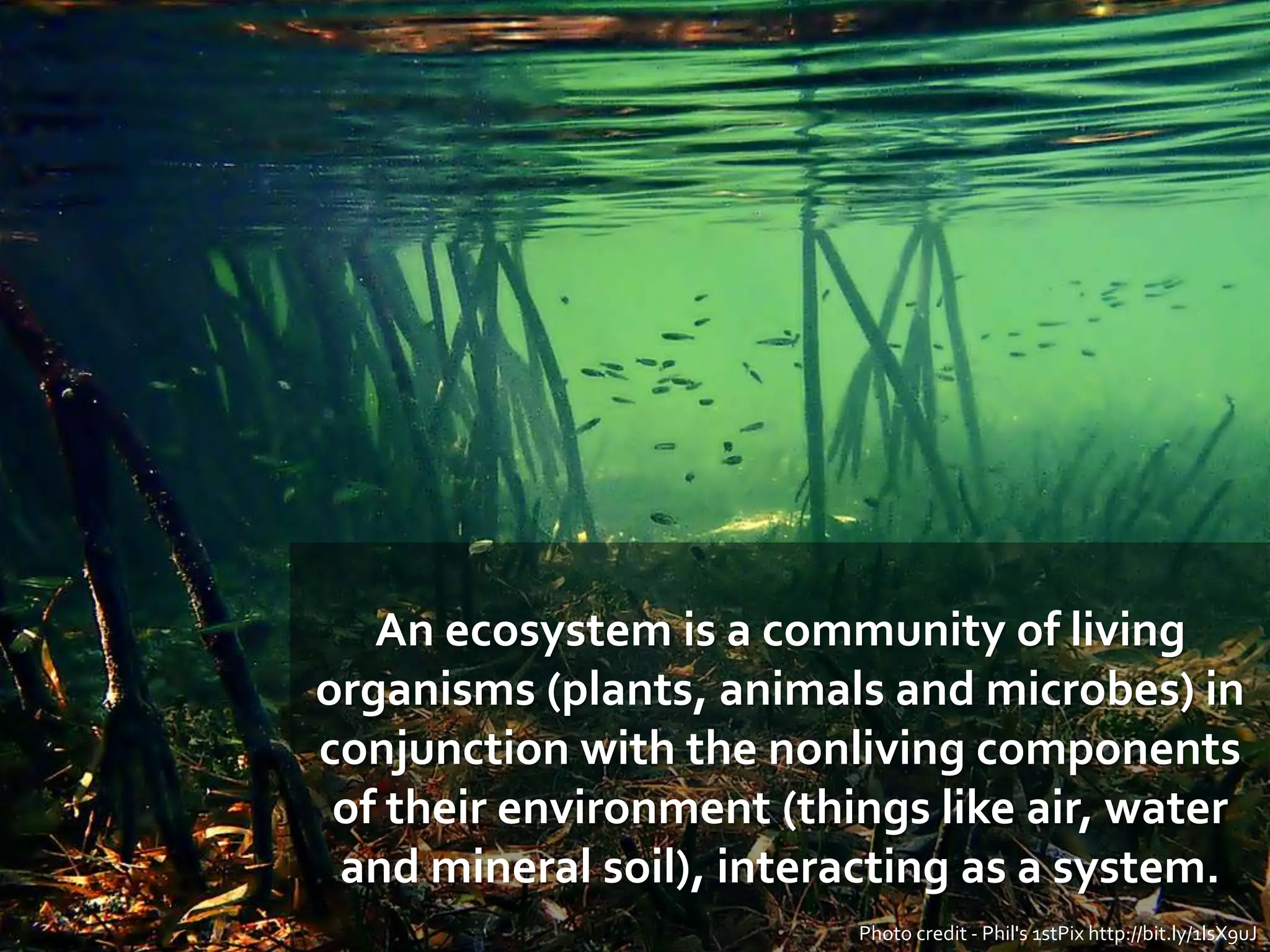 An ecosystem is a community of living
organisms (plants, animals and microbes) in
conjunction with the nonliving components
of their environment (things like air, water
and mineral soil), interacting as a system.
Photo credit - Phil's 1stPix http://bit.ly/1lsX9uJ
 