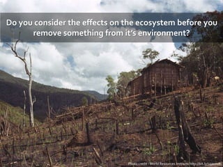 Do you consider the effects on the ecosystem before you
remove something from it’s environment?
Photo credit -World Resources Institute http://bit.ly/1qacovR
 