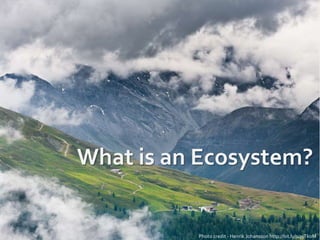 What is an Ecosystem?
Photo credit - Henrik Johansson http://bit.ly/1q9Tk0M
 