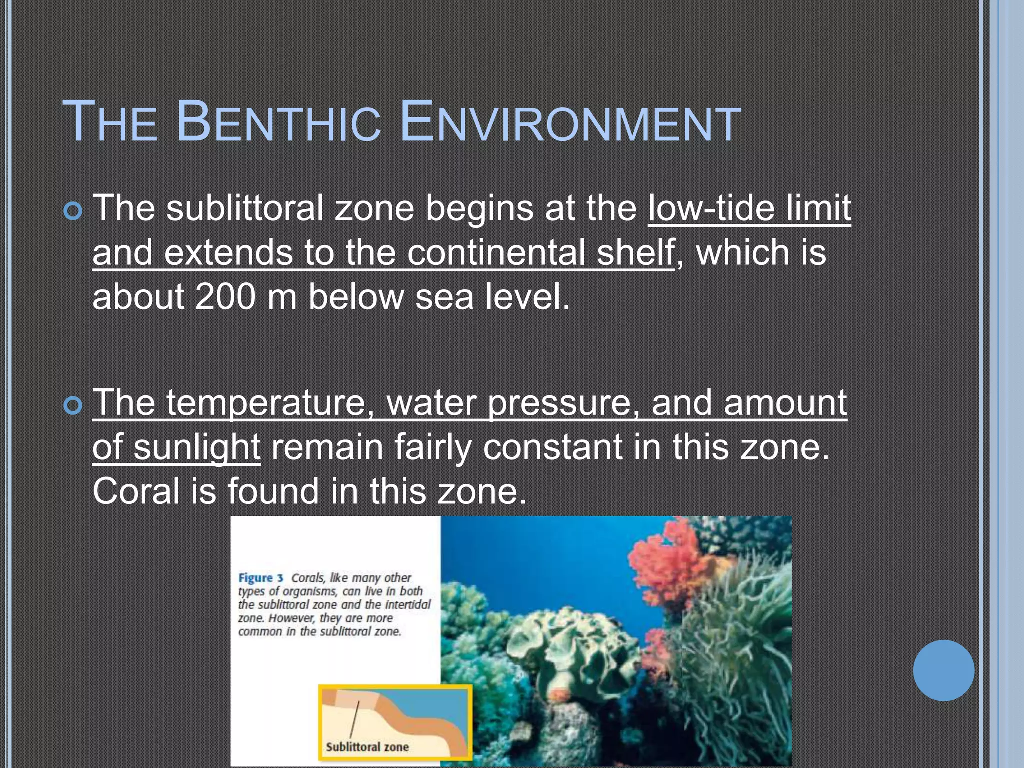 THE BENTHIC ENVIRONMENT
 The

sublittoral zone begins at the low-tide limit
and extends to the continental shelf, which is
about 200 m below sea level.

 The

temperature, water pressure, and amount
of sunlight remain fairly constant in this zone.
Coral is found in this zone.

 