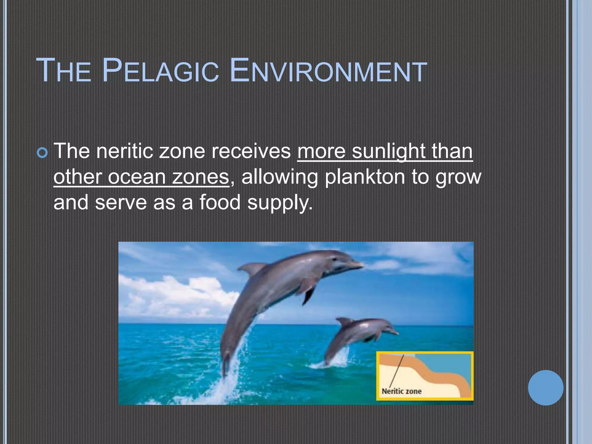 THE PELAGIC ENVIRONMENT
 The

neritic zone receives more sunlight than
other ocean zones, allowing plankton to grow
and serve as a food supply.

 