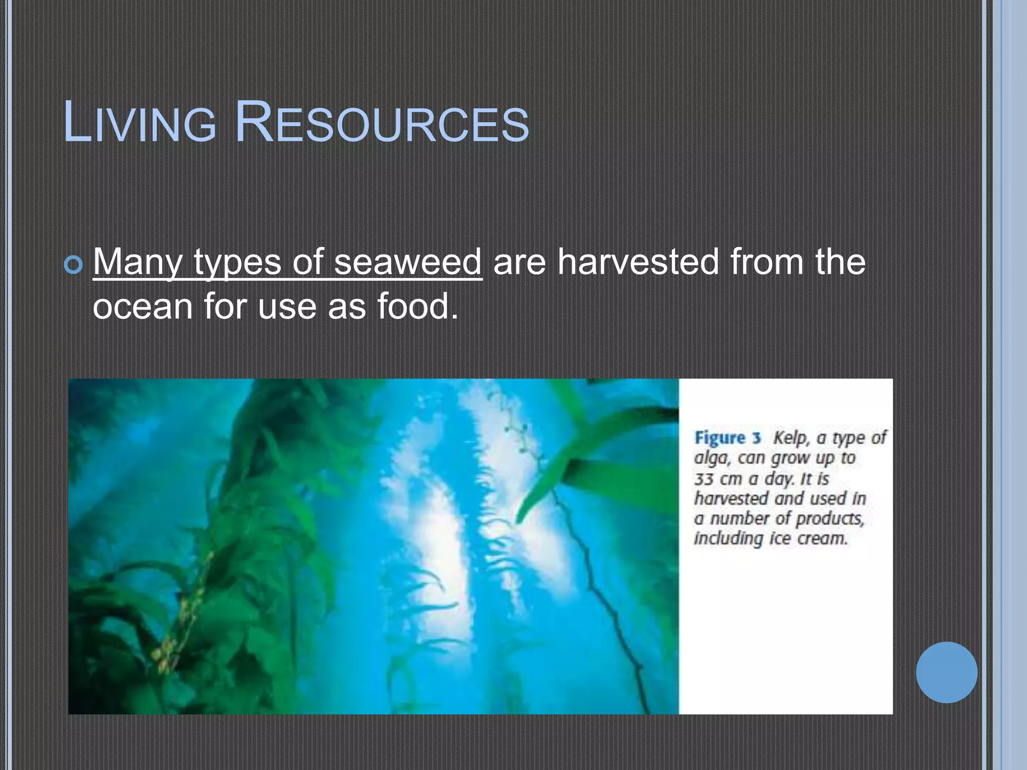 LIVING RESOURCES
 Many

types of seaweed are harvested from the
ocean for use as food.

 