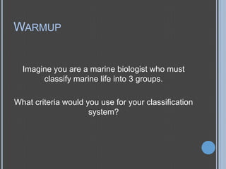 WARMUP

Imagine you are a marine biologist who must
classify marine life into 3 groups.
What criteria would you use for your classification
system?

 