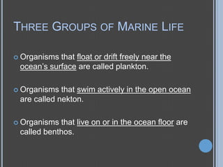 THREE GROUPS OF MARINE LIFE
 Organisms

that float or drift freely near the
ocean’s surface are called plankton.

 Organisms

that swim actively in the open ocean
are called nekton.

 Organisms

that live on or in the ocean floor are
called benthos.

 