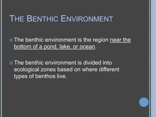 THE BENTHIC ENVIRONMENT
 The

benthic environment is the region near the
bottom of a pond, lake, or ocean.

 The

benthic environment is divided into
ecological zones based on where different
types of benthos live.

 