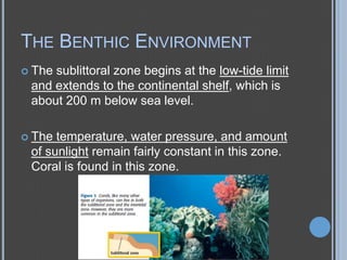 THE BENTHIC ENVIRONMENT
 The

sublittoral zone begins at the low-tide limit
and extends to the continental shelf, which is
about 200 m below sea level.

 The

temperature, water pressure, and amount
of sunlight remain fairly constant in this zone.
Coral is found in this zone.

 