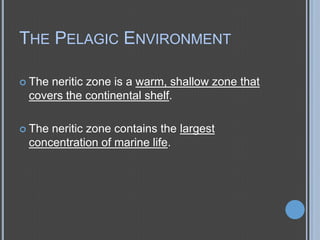 THE PELAGIC ENVIRONMENT
 The

neritic zone is a warm, shallow zone that
covers the continental shelf.

 The

neritic zone contains the largest
concentration of marine life.

 