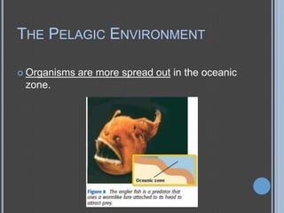 THE PELAGIC ENVIRONMENT
 Organisms

zone.

are more spread out in the oceanic

 
