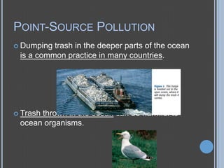 POINT-SOURCE POLLUTION
 Dumping

trash in the deeper parts of the ocean
is a common practice in many countries.

 Trash

thrown in the ocean can be harmful to
ocean organisms.

 