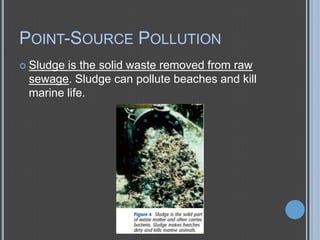 POINT-SOURCE POLLUTION
 Sludge

is the solid waste removed from raw
sewage. Sludge can pollute beaches and kill
marine life.

 
