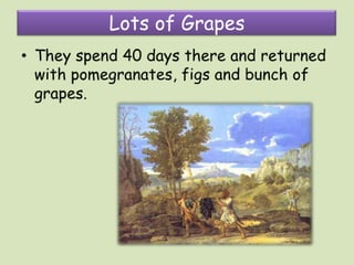 Exploring the promised land