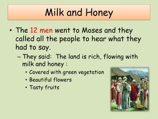 Exploring the promised land