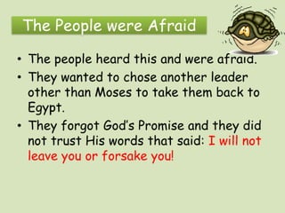 Exploring the promised land