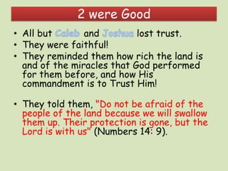 Exploring the promised land