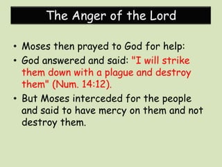 Exploring the promised land