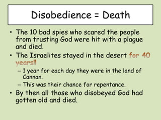 Exploring the promised land