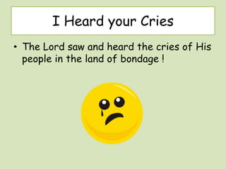 Exploring the promised land