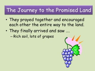 Exploring the promised land