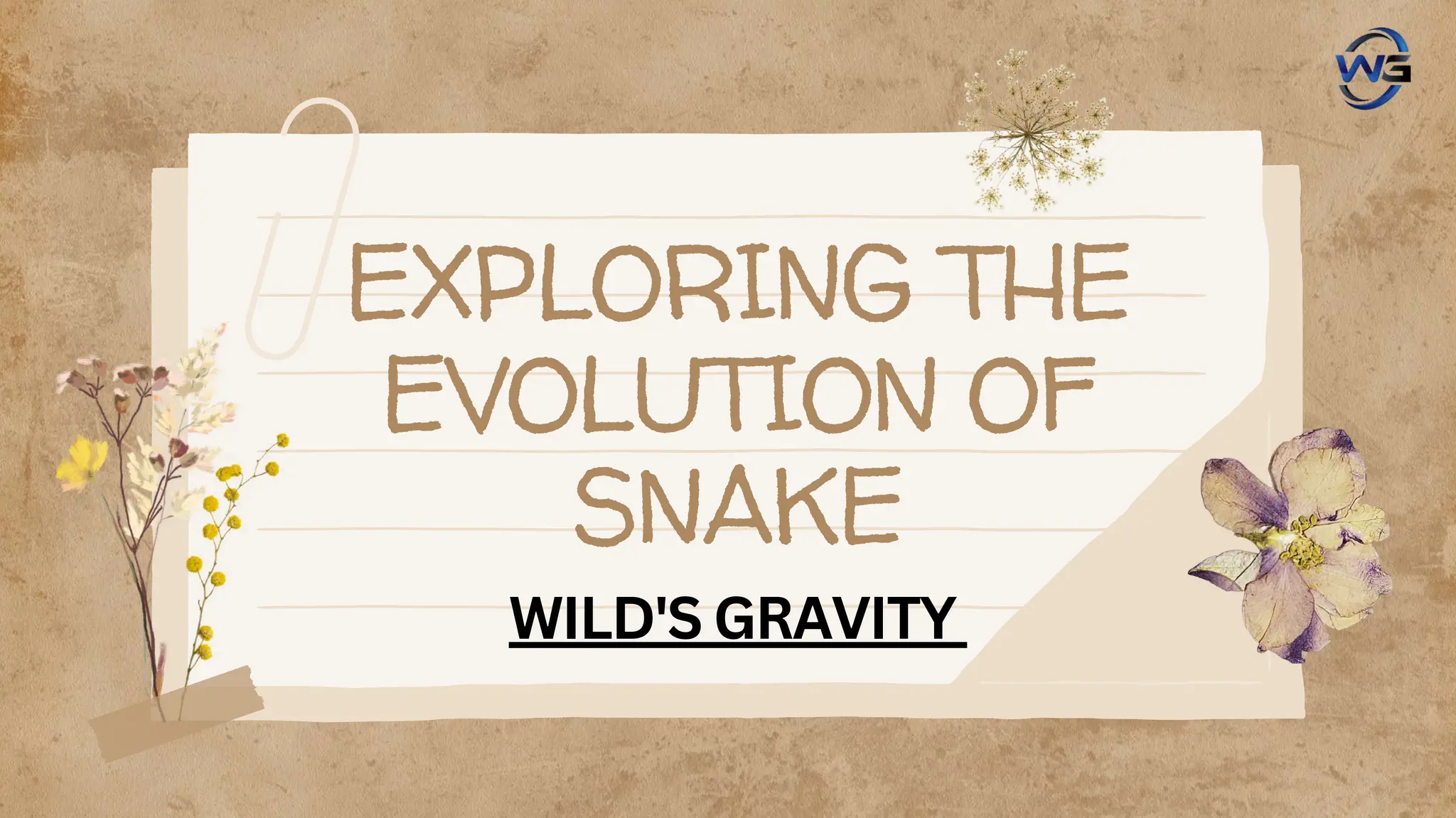 Exploring the snake evolution (wild's gravity).pdf