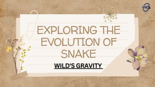 EXPLORING THE
EVOLUTION OF
SNAKE
WILD'S GRAVITY
 