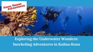 Exploring the Underwater Wonders:
Snorkeling Adventures in Kailua-Kona
 