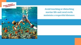 Avoid touching or disturbing
marine life and coral reefs;
maintain a respectful distance.
 