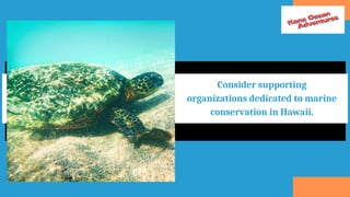 Consider supporting
organizations dedicated to marine
conservation in Hawaii.
 