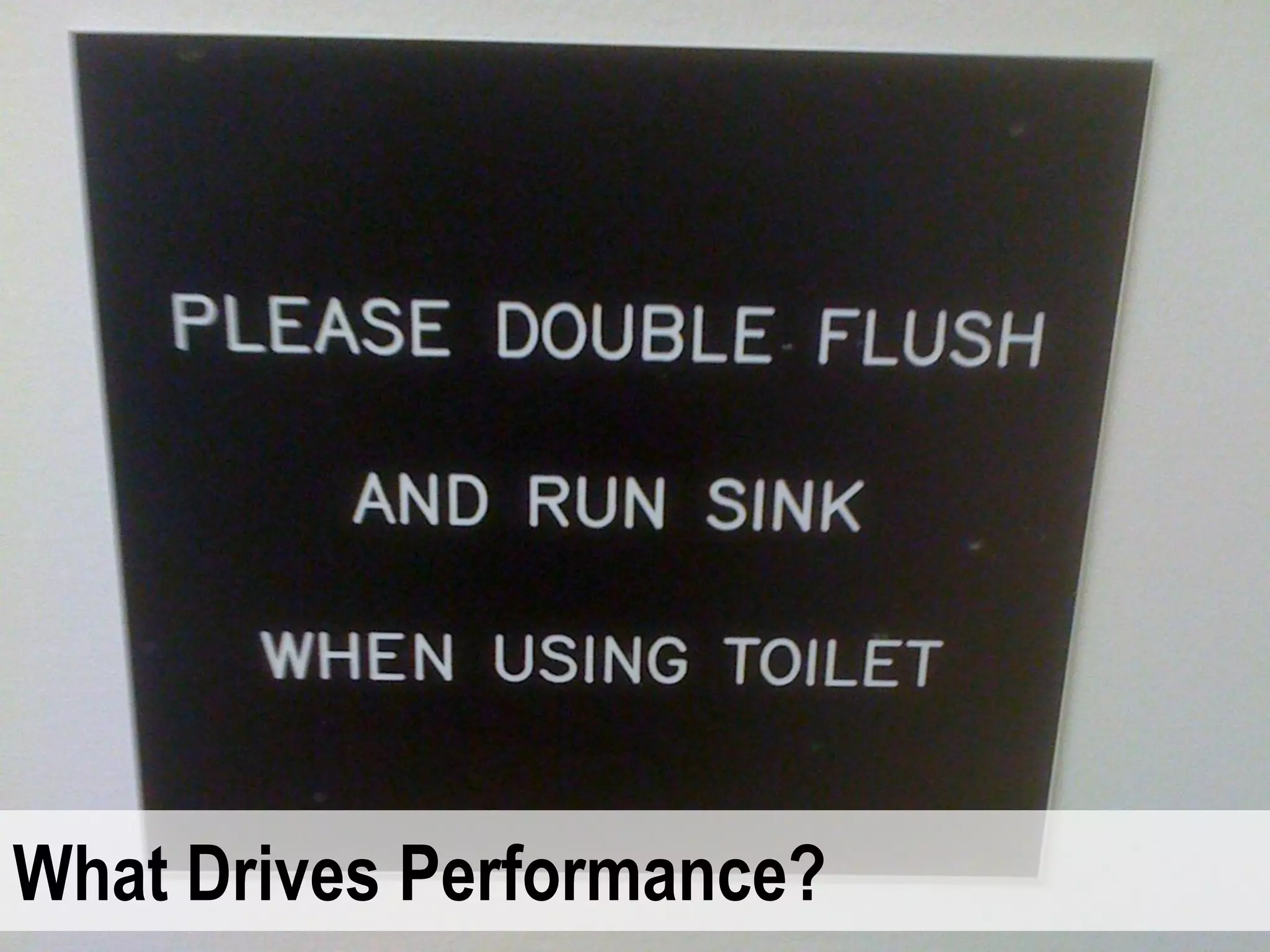 What Drives Performance?
 