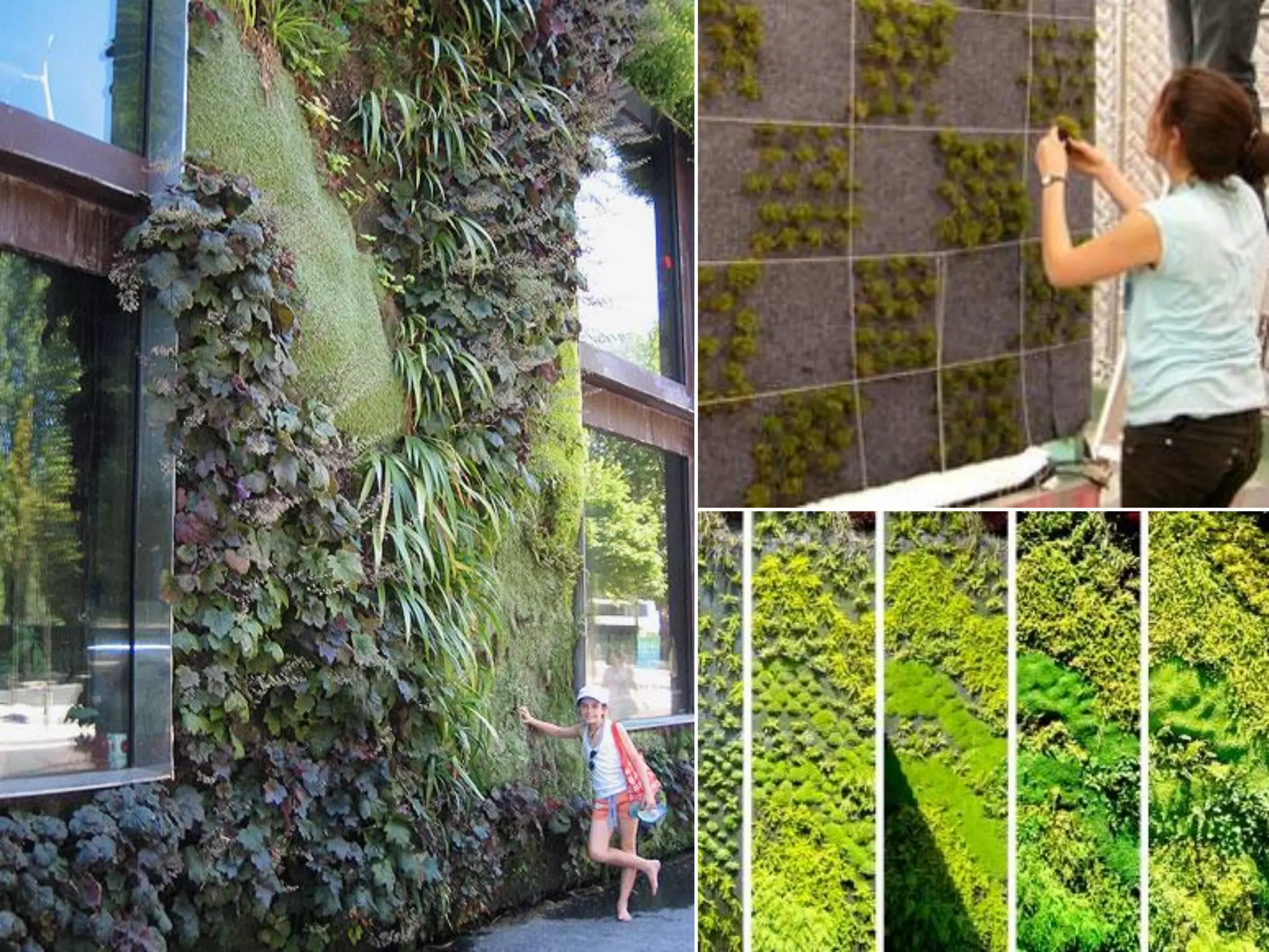 Building Integrated Landscape - Exterior
 