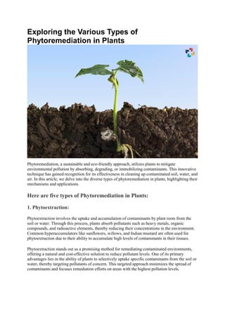 Exploring the Various Types of
Phytoremediation in Plants
Phytoremediation, a sustainable and eco-friendly approach, utilizes plants to mitigate
environmental pollution by absorbing, degrading, or immobilizing contaminants. This innovative
technique has gained recognition for its effectiveness in cleaning up contaminated soil, water, and
air. In this article, we delve into the diverse types of phytoremediation in plants, highlighting their
mechanisms and applications.
Here are five types of Phytoremediation in Plants:
1. Phytoextraction:
Phytoextraction involves the uptake and accumulation of contaminants by plant roots from the
soil or water. Through this process, plants absorb pollutants such as heavy metals, organic
compounds, and radioactive elements, thereby reducing their concentrations in the environment.
Common hyperaccumulators like sunflowers, willows, and Indian mustard are often used for
phytoextraction due to their ability to accumulate high levels of contaminants in their tissues.
Phytoextraction stands out as a promising method for remediating contaminated environments,
offering a natural and cost-effective solution to reduce pollutant levels. One of its primary
advantages lies in the ability of plants to selectively uptake specific contaminants from the soil or
water, thereby targeting pollutants of concern. This targeted approach minimizes the spread of
contaminants and focuses remediation efforts on areas with the highest pollution levels.
 