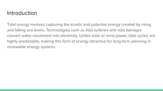 Exploring Tidal Energy as a Sustainable Renewable Power Source for ...