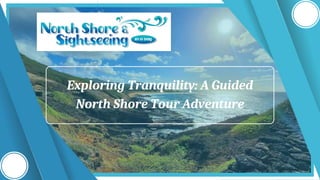 Exploring Tranquility: A Guided
North Shore Tour Adventure
 