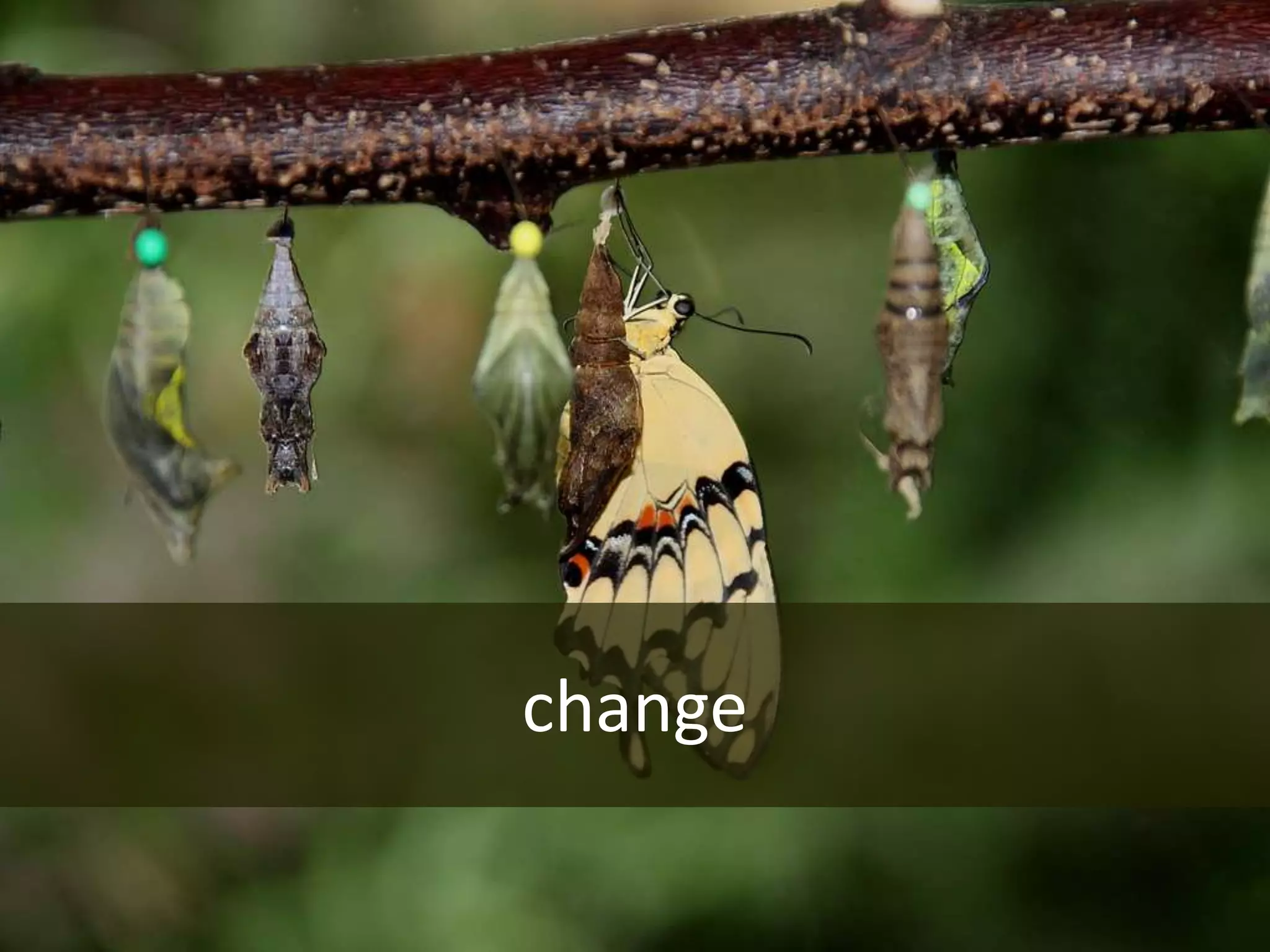 change
 