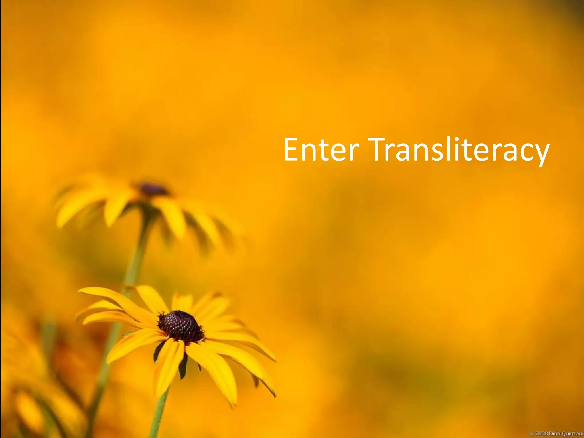 Enter Transliteracy
 