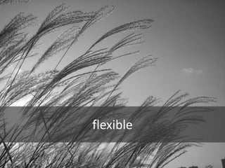 flexible
 