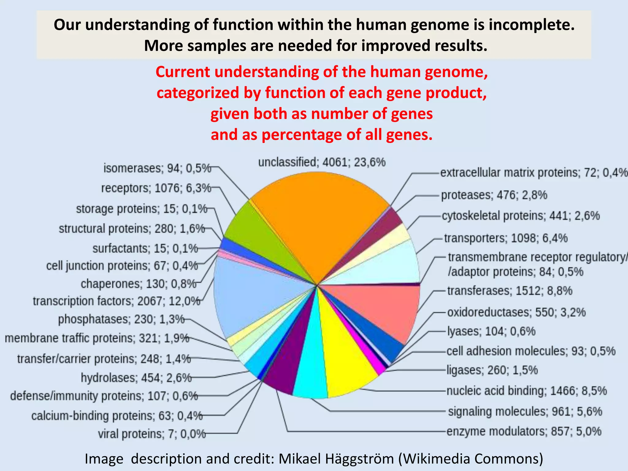 Current understanding of the human genome,
categorized by function of each gene product,
given both as number of genes
and as percentage of all genes.
Image description and credit: Mikael Häggström (Wikimedia Commons)
Our understanding of function within the human genome is incomplete.
More samples are needed for improved results.
 