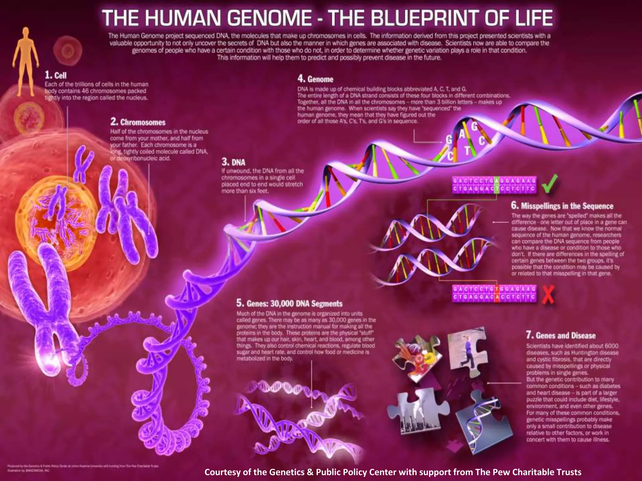 Courtesy of the Genetics & Public Policy Center with support from The Pew Charitable Trusts
 