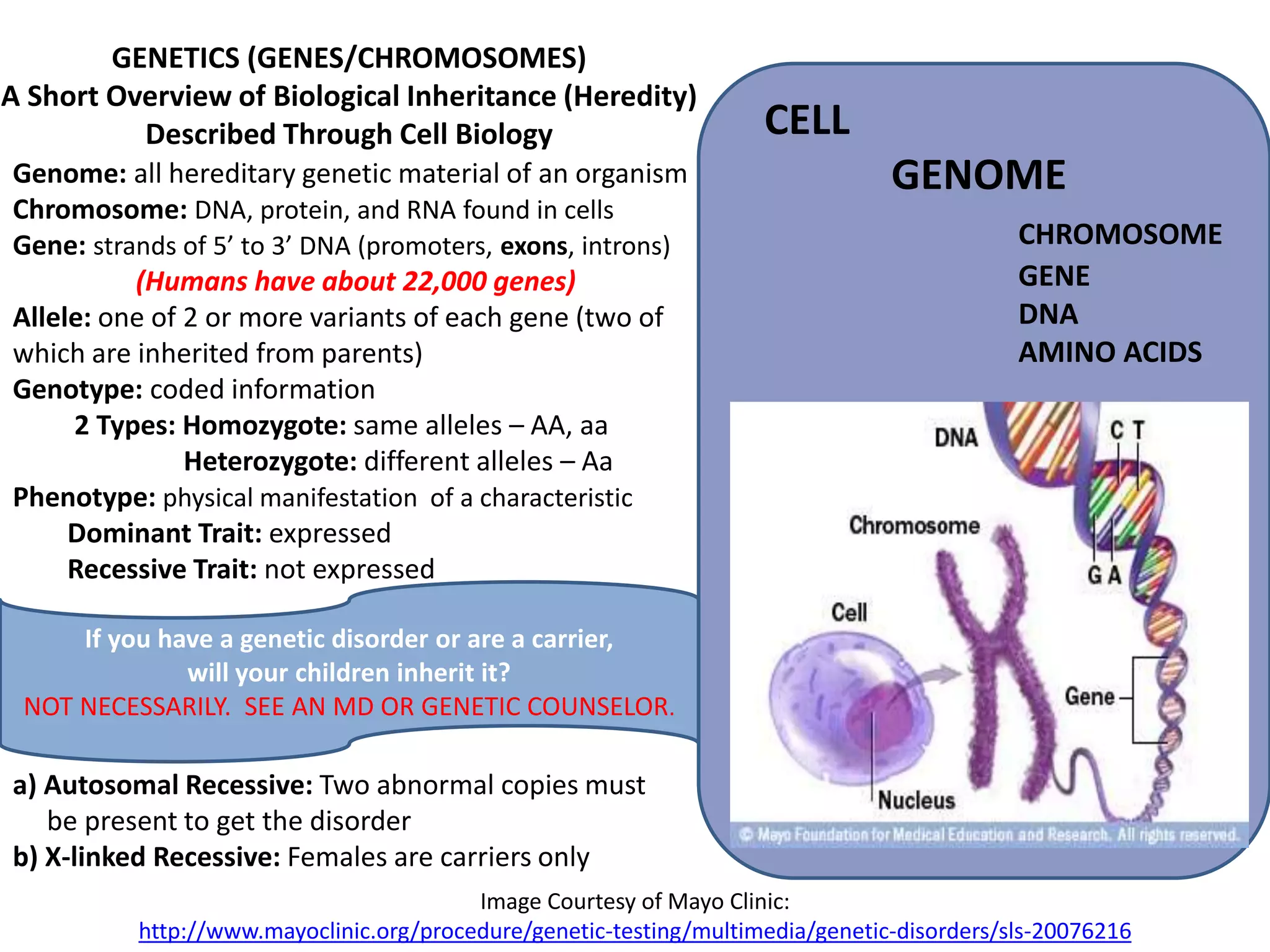 Genome: all hereditary genetic material of an organism
Chromosome: DNA, protein, and RNA found in cells
Gene: strands of 5’ to 3’ DNA (promoters, exons, introns)
(Humans have about 22,000 genes)
Allele: one of 2 or more variants of each gene (two of
which are inherited from parents)
Genotype: coded information
2 Types: Homozygote: same alleles – AA, aa
Heterozygote: different alleles – Aa
Phenotype: physical manifestation of a characteristic
Dominant Trait: expressed
Recessive Trait: not expressed
a) Autosomal Recessive: Two abnormal copies must
be present to get the disorder
b) X-linked Recessive: Females are carriers only
GENETICS (GENES/CHROMOSOMES)
A Short Overview of Biological Inheritance (Heredity)
Described Through Cell Biology CELL
GENOME
CHROMOSOME
GENE
DNA
AMINO ACIDS
Image Courtesy of Mayo Clinic:
http://www.mayoclinic.org/procedure/genetic-testing/multimedia/genetic-disorders/sls-20076216
If you have a genetic disorder or are a carrier,
will your children inherit it?
NOT NECESSARILY. SEE AN MD OR GENETIC COUNSELOR.
 