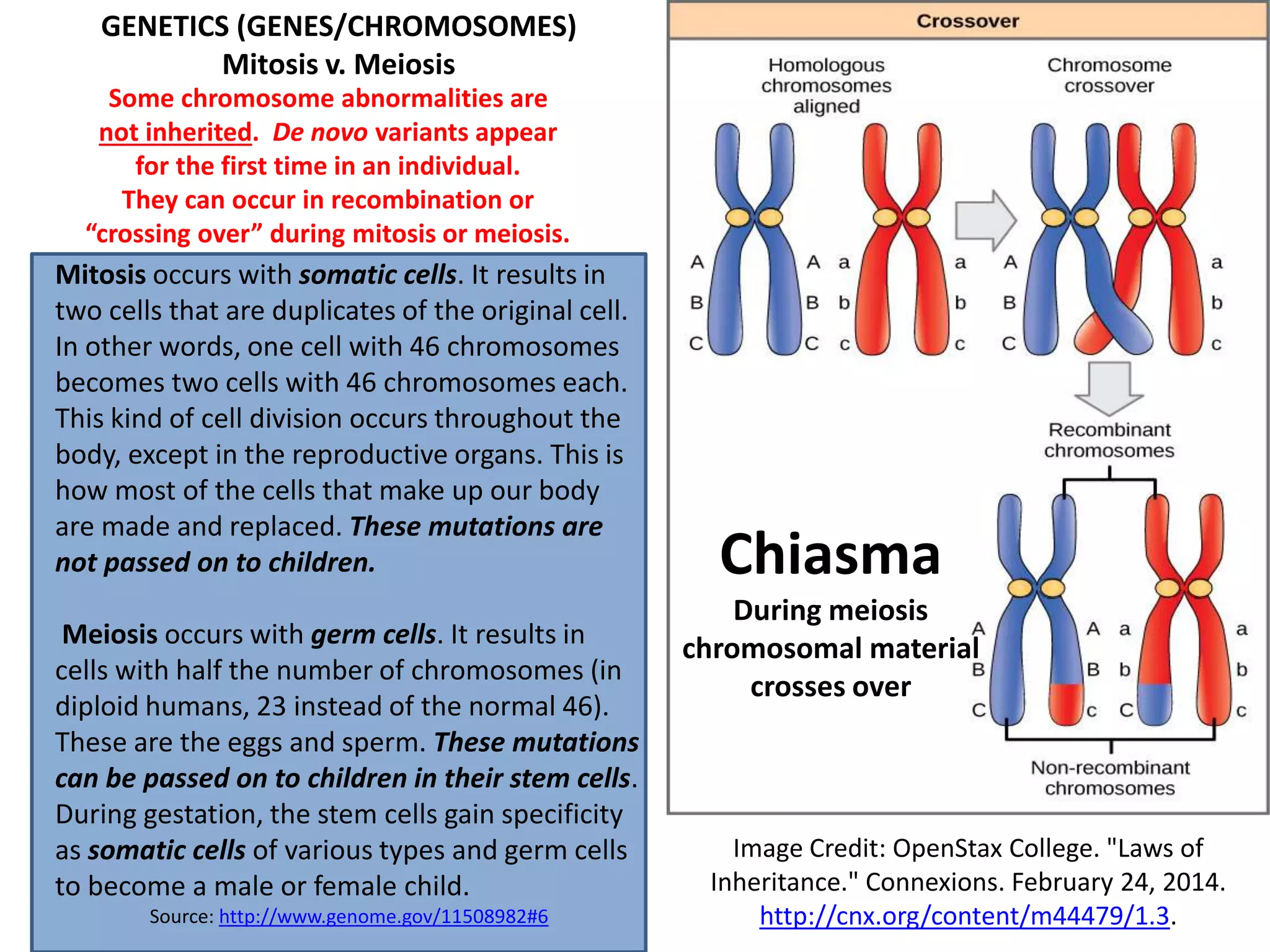 GENETICS (GENES/CHROMOSOMES)
Mitosis v. Meiosis
Some chromosome abnormalities are
not inherited. De novo variants appear
for the first time in an individual.
They can occur in recombination or
“crossing over” during mitosis or meiosis.
Image Credit: OpenStax College. "Laws of
Inheritance." Connexions. February 24, 2014.
http://cnx.org/content/m44479/1.3.
Mitosis occurs with somatic cells. It results in
two cells that are duplicates of the original cell.
In other words, one cell with 46 chromosomes
becomes two cells with 46 chromosomes each.
This kind of cell division occurs throughout the
body, except in the reproductive organs. This is
how most of the cells that make up our body
are made and replaced. These mutations are
not passed on to children.
Meiosis occurs with germ cells. It results in
cells with half the number of chromosomes (in
diploid humans, 23 instead of the normal 46).
These are the eggs and sperm. These mutations
can be passed on to children in their stem cells.
During gestation, the stem cells gain specificity
as somatic cells of various types and germ cells
to become a male or female child.
Source: http://www.genome.gov/11508982#6
Chiasma
During meiosis
chromosomal material
crosses over
 