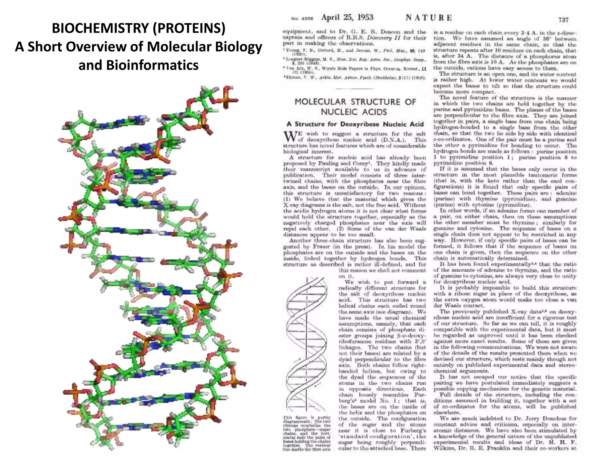 BIOCHEMISTRY (PROTEINS)
A Short Overview of Molecular Biology
and Bioinformatics
 