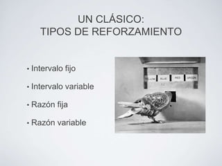 UN CLÁSICO:
      TIPOS DE REFORZAMIENTO


•   Intervalo fijo

•   Intervalo variable

•   Razón fija

•   Razón variable
 