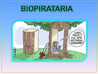 Explosão demográfica