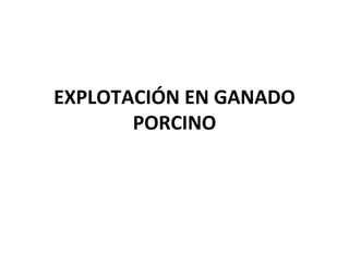 EXPLOTACIÓN EN GANADO
PORCINO
 