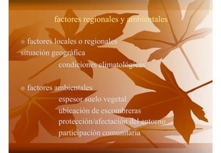 factores regionales y ambientales
 factores locales o regionales
situación geográfica
condiciones climatológicas
 factores ambientales
espesor suelo vegetal
ubicación de escombreras
protección/afectación del entorno
participación comunitaria
 